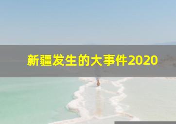 新疆发生的大事件2020