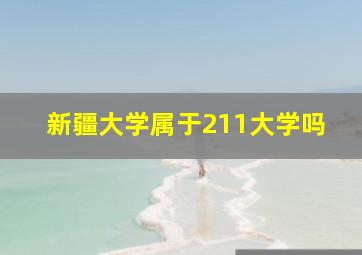 新疆大学属于211大学吗