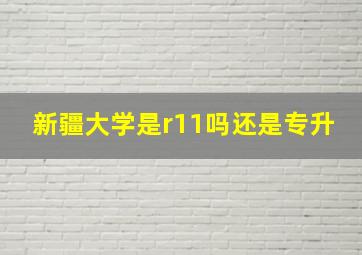 新疆大学是r11吗还是专升