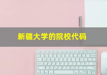 新疆大学的院校代码