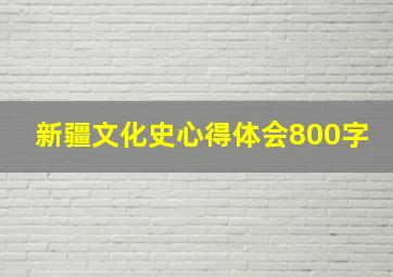 新疆文化史心得体会800字