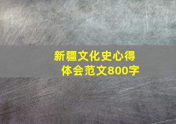 新疆文化史心得体会范文800字