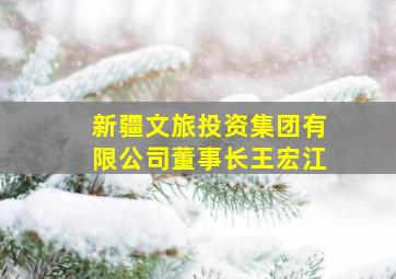 新疆文旅投资集团有限公司董事长王宏江