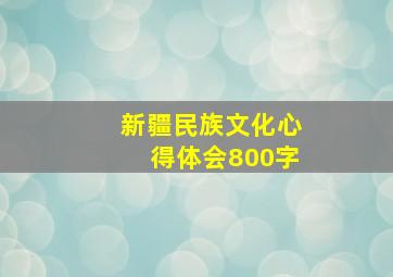 新疆民族文化心得体会800字