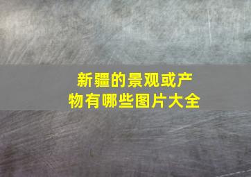 新疆的景观或产物有哪些图片大全