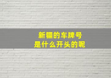 新疆的车牌号是什么开头的呢