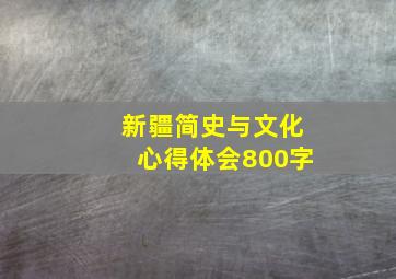 新疆简史与文化心得体会800字