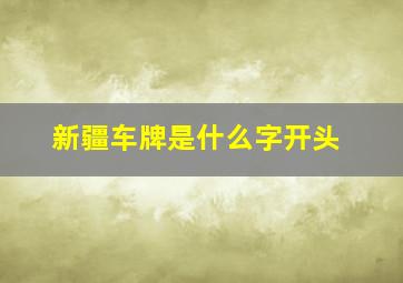 新疆车牌是什么字开头