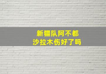 新疆队阿不都沙拉木伤好了吗