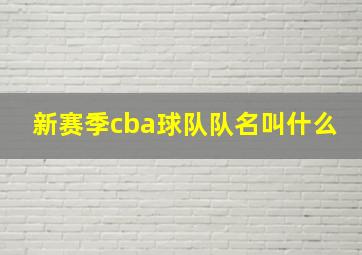 新赛季cba球队队名叫什么