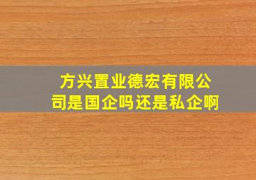 方兴置业德宏有限公司是国企吗还是私企啊