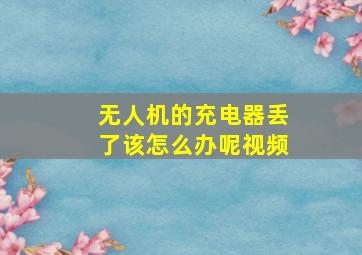 无人机的充电器丢了该怎么办呢视频