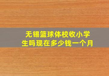 无锡篮球体校收小学生吗现在多少钱一个月