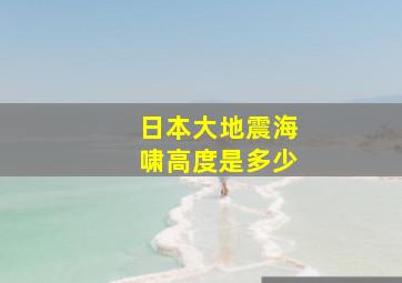 日本大地震海啸高度是多少