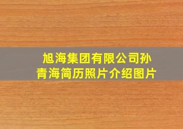 旭海集团有限公司孙青海简历照片介绍图片