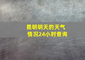 昆明明天的天气情况24小时查询