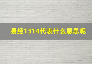 易经1314代表什么意思呢