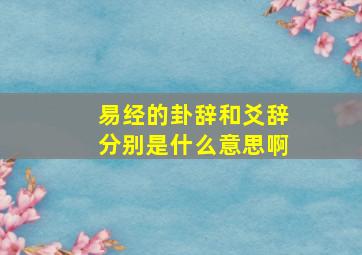 易经的卦辞和爻辞分别是什么意思啊