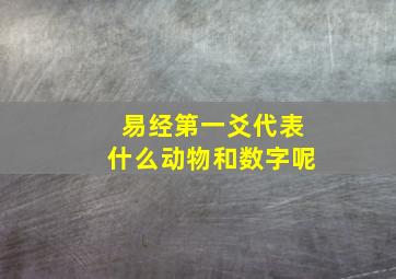 易经第一爻代表什么动物和数字呢