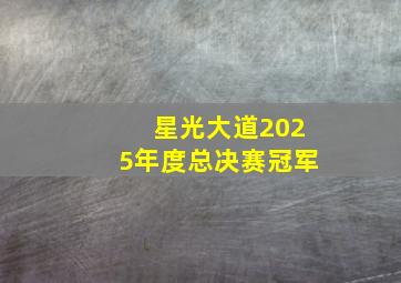 星光大道2025年度总决赛冠军