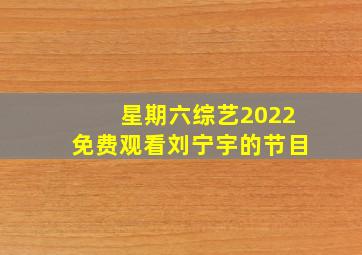 星期六综艺2022免费观看刘宁宇的节目