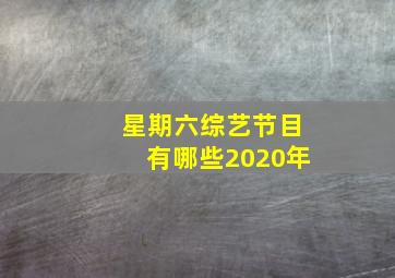 星期六综艺节目有哪些2020年