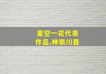 星空一花代表作品,神奈川县