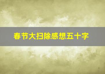 春节大扫除感想五十字