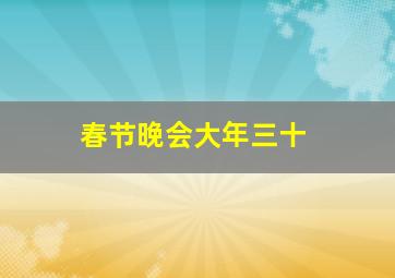 春节晚会大年三十