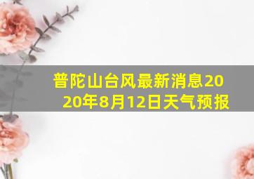 普陀山台风最新消息2020年8月12日天气预报