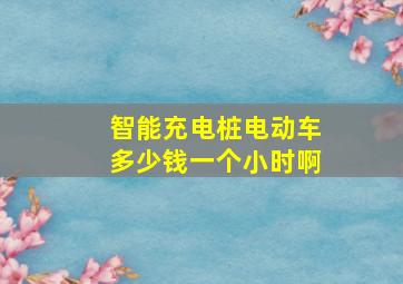 智能充电桩电动车多少钱一个小时啊