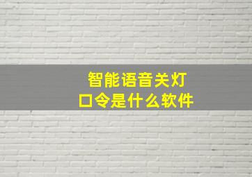 智能语音关灯口令是什么软件