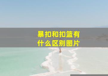 暴扣和扣篮有什么区别图片