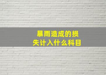 暴雨造成的损失计入什么科目