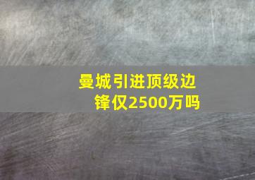 曼城引进顶级边锋仅2500万吗