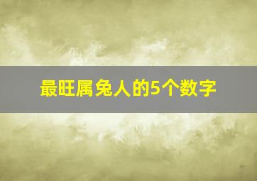 最旺属兔人的5个数字