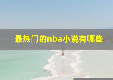 最热门的nba小说有哪些