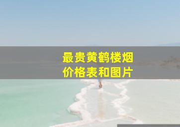 最贵黄鹤楼烟价格表和图片