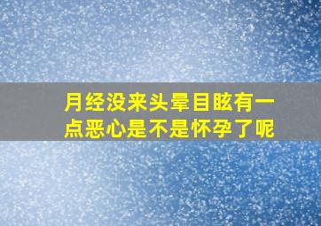 月经没来头晕目眩有一点恶心是不是怀孕了呢