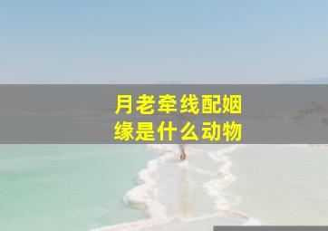 月老牵线配姻缘是什么动物