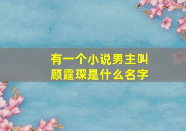 有一个小说男主叫顾霆琛是什么名字