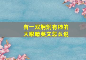 有一双炯炯有神的大眼睛英文怎么说