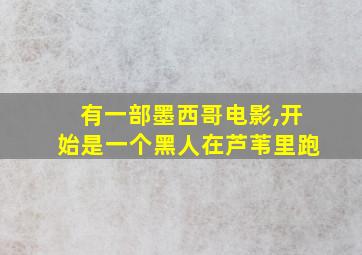 有一部墨西哥电影,开始是一个黑人在芦苇里跑