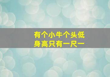 有个小牛个头低身高只有一尺一