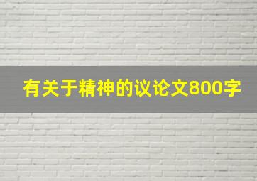 有关于精神的议论文800字