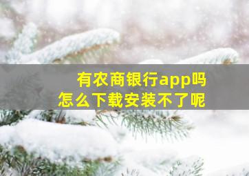 有农商银行app吗怎么下载安装不了呢