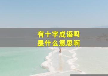 有十字成语吗是什么意思啊