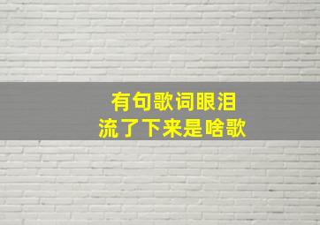 有句歌词眼泪流了下来是啥歌