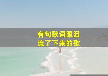 有句歌词眼泪流了下来的歌