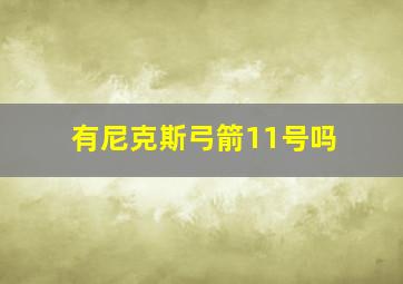 有尼克斯弓箭11号吗